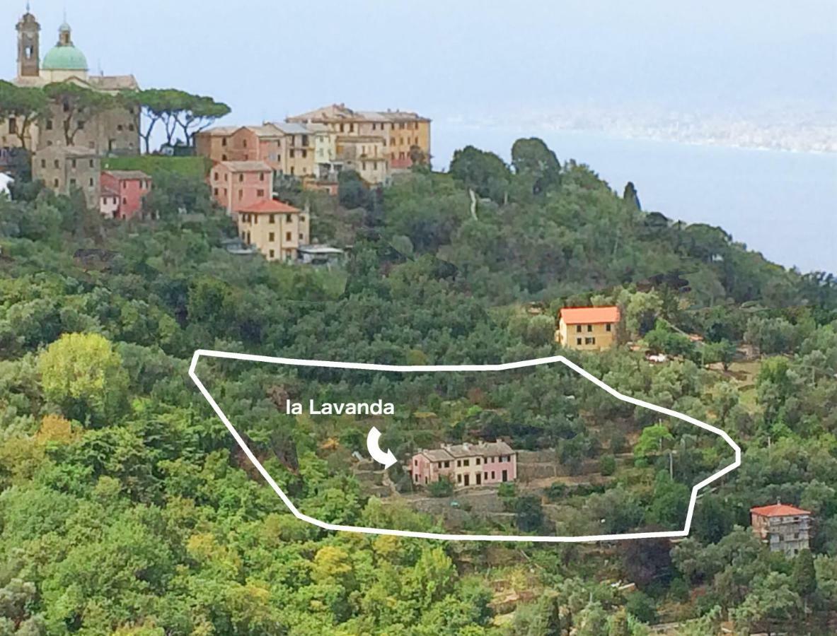 Villa Olivari - Apt La Lavanda Camogli Exterior foto