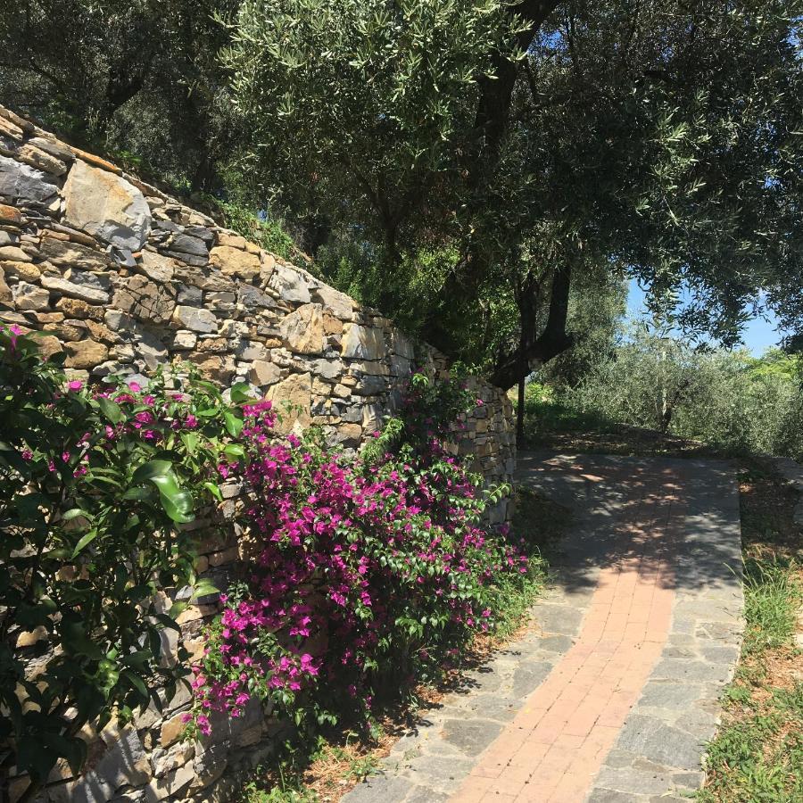 Villa Olivari - Apt La Lavanda Camogli Exterior foto